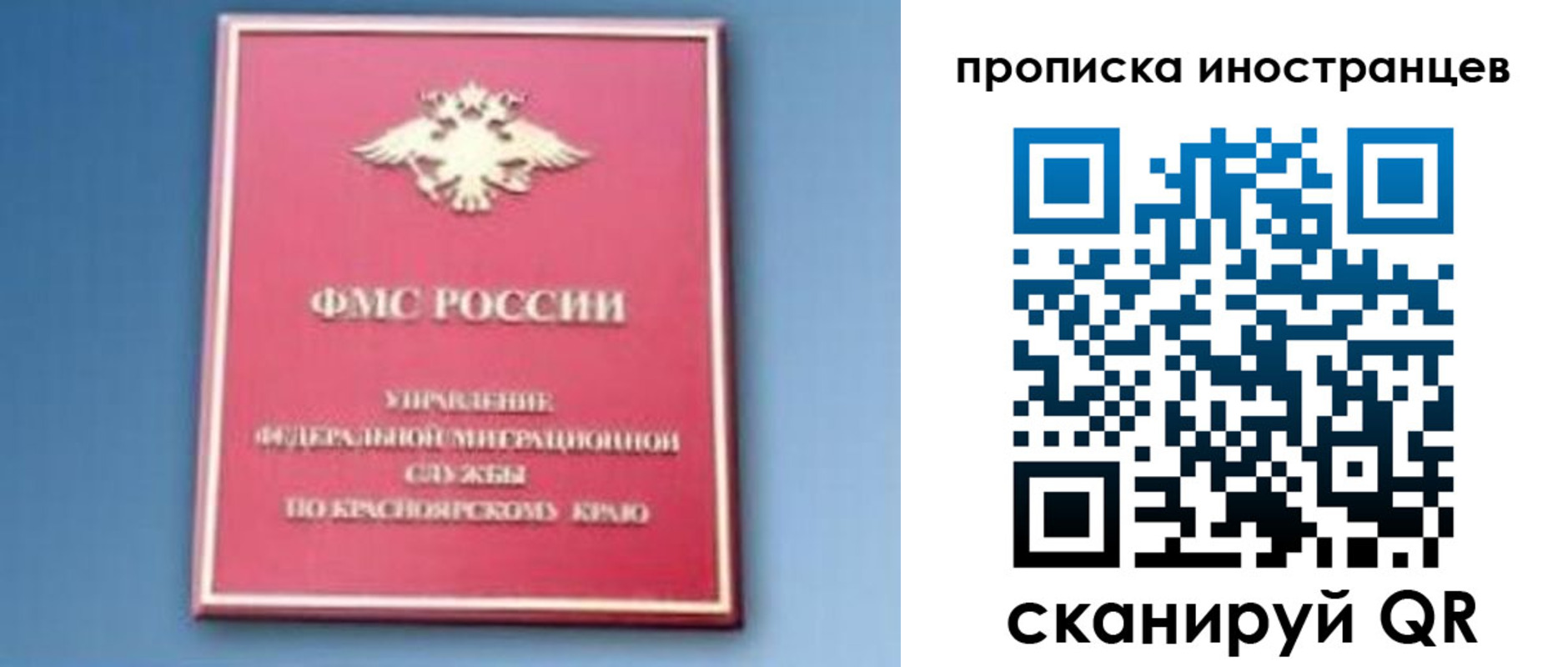 регистрация для дет. сада в Елизово